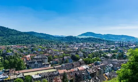 Nettoyage De Cuisine A Fribourg En Brisgau
