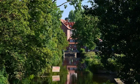 Matratzenreinigung  Neustadt am Rübenberge