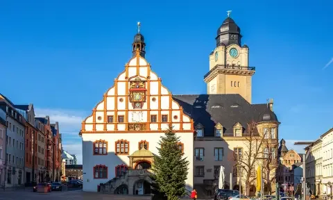 Schwimmbadreinigung  Plauen